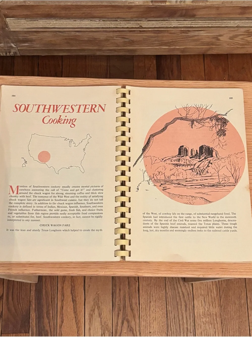 Americana Cookbook -Vintage Recipe Book